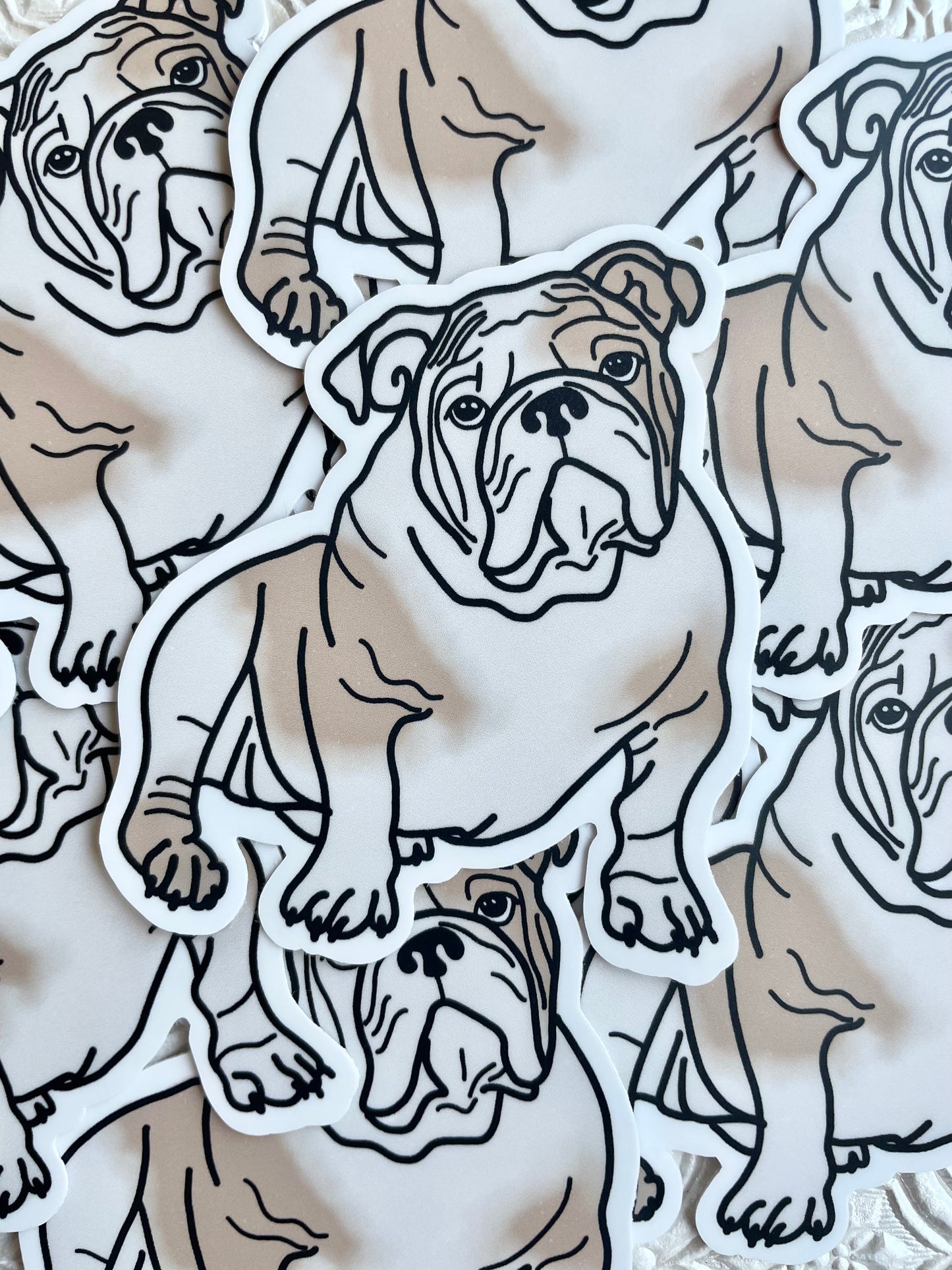 English Bull Dog Sticker
