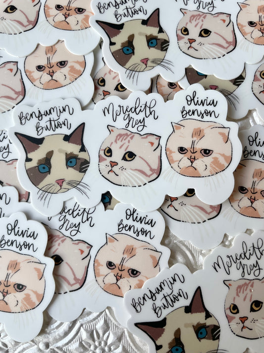 Taylor Swift's Cats Sticker