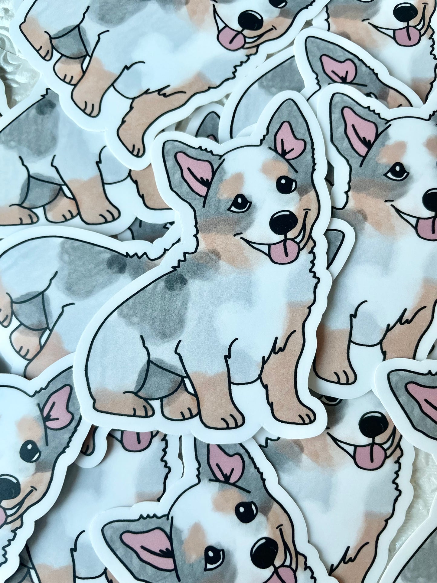 Blue Heeler Sticker