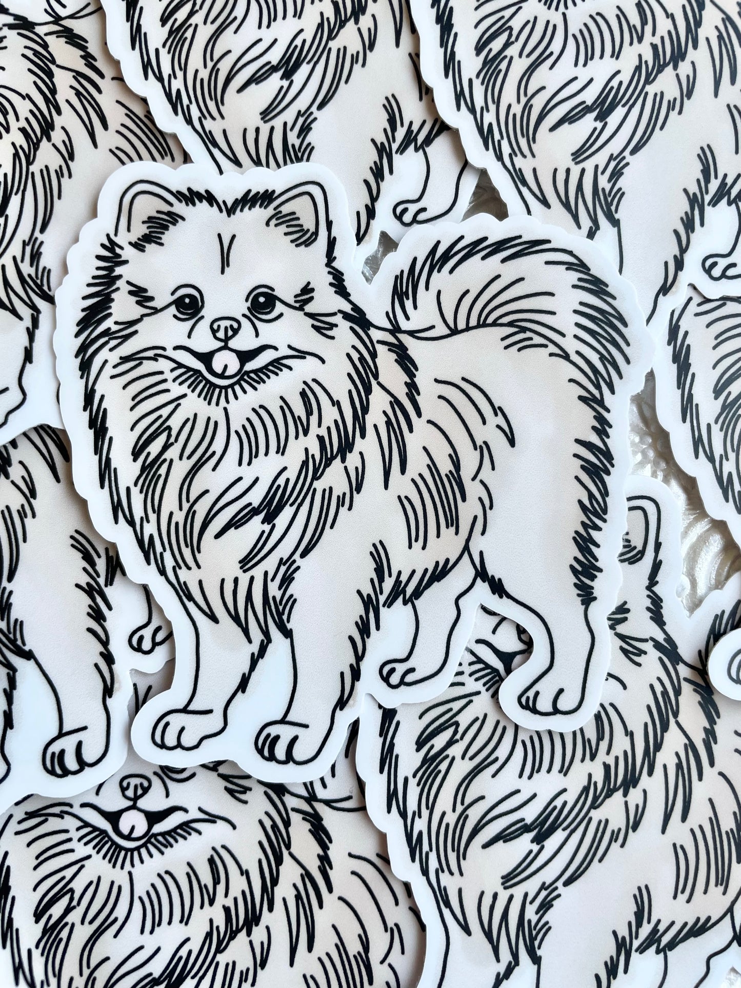 Pomeranian Dog Sticker